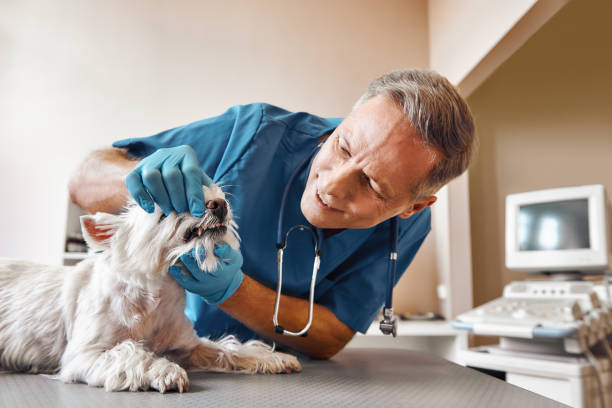 Best Broken Tooth Emergency  in Edgecliff Village, TX